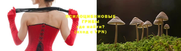 гидра Зеленокумск