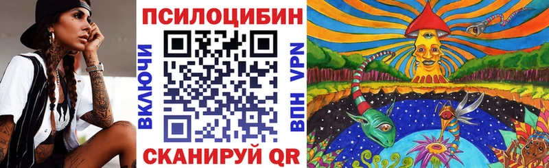 где купить   Солнечногорск  Галлюциногенные грибы Cubensis 