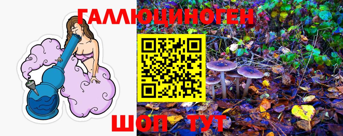 где продают   Галлюциногенные грибы мухоморы  Вход с VPN  Солнечногорск 