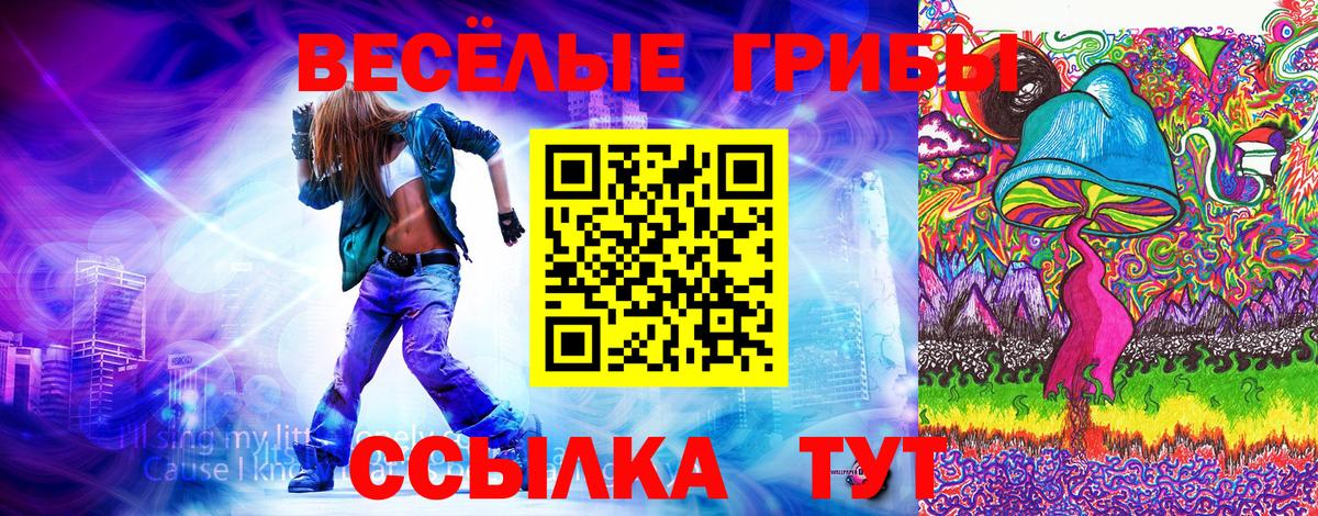 Псилоцибиновые грибы Magic Shrooms  Псилоцибиновые грибы Psilocybe  Солнечногорск 